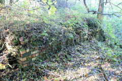 Site of Albion Road Colliery, Lower Race, October 2010