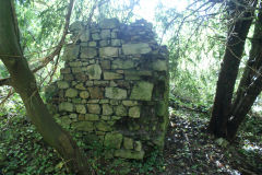 Albion Slope ruins, Lower Race, October 2010