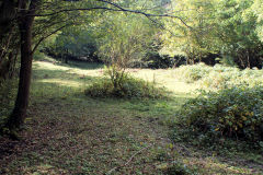 Albion Slope tips, Lower Race, October 2010