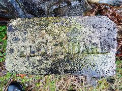 A 'Blaendare' brick from Blaendare Brickworks