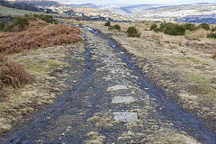 Eastern level tramway, Cwm Lickey, February 2015