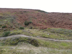 New Vein Level, Cwm Lickey, January 2012