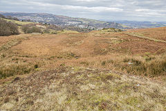 Marsh on the site of Cwm Lickey lower reservoir, February 2015
