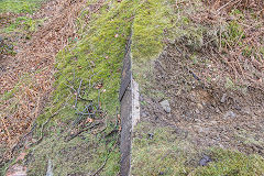 Rifle range markers hut, Cwm Lickey, February 2015