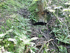 Nant Dare drainage tunnel deside the Cwmynyscoy Tramroad, Augusst 2021