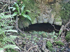 Nant Dare drainage tunnel deside the Cwmynyscoy Tramroad, Augusst 2021