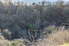 Cwm or Tamplins quarry, February 2015