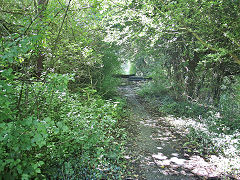 
Cwmynyscoy Tramroad, August 2021