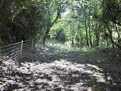 
Cwmynyscoy Tramroad, August 2021