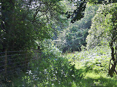 Cwmynyscoy Tramroad, August 2021