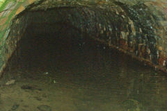 Gypsy Level, Old Furnace, October 2010