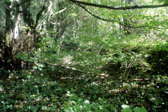 Gypsy Level tramway, Old Furnace, October 2010