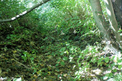 Gypsy Level tramway, Old Furnace, October 2010