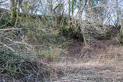 New Farm quarry, Penyrheol, February 2015