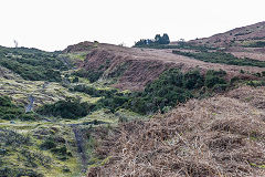 
The Scourings, Penyrheol, February 2015