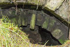 Tunnel at Upper Race, August 2017