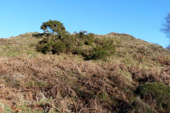 Cefn Crib Colliery incline top, January 2011
