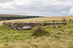 Cefn Crib ruins, The rectangular building, September 2015