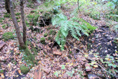 Glyn Level no 1, foundations (of furnace?), October 2010