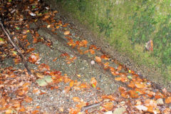 Glyn Level no 1, Rail above level entrance, October 2010