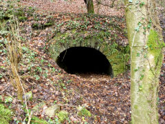 Glyn Level No 2, April 2011