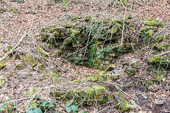 Glyn Level no 2 chimney, March 2015