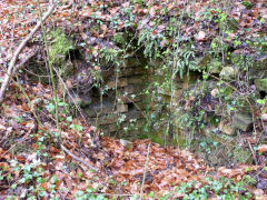 Glyn Level No 2 furnace flue, April 2011