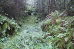 Quarry Level downcast level filled with quarry waste, October 2010