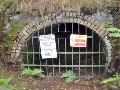 Quarry Level upcast level's shiny new gate complete with Bat gap! 2011
