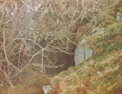 Quarry Level downcast level