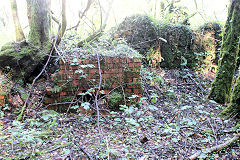 Stables and blacksmiths shop, Quarry Level, Glyn Valley, October 2010