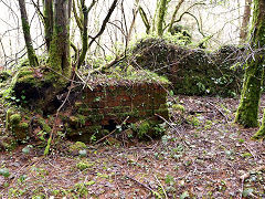 Stables and blacksmiths shop, Quarry Level, Glyn Valley, April 2011