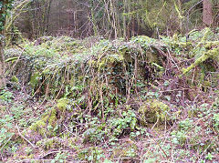 Stables and blacksmiths shop, Quarry Level, Glyn Valley, April 2011