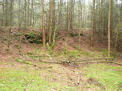 
Incline from stables, Quarry Level, Glyn Valley, April 2011