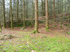 Incline from stables, Quarry Level, Glyn Valley, April 2011