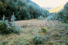Glyntillery Level, 2nd site tips, October 2010