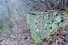 Hafodyrynys Colliery retaining wall below Drift, January 2011