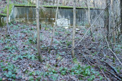 Hafodyrynys Colliery, Northern level, January 2011