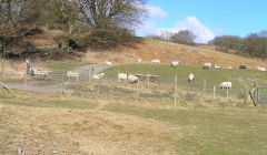 Lower level, Heol Cochwydd, Hafodyrynys, January 2011
