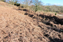 Penyrheol Colliery, Hafodyrynys, January 2011
