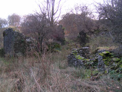 
Blaen-y-Cwm farm ruins, Pant-y-Gasseg, November 2008