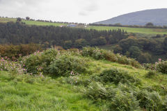 
Blaen-y-cwm Colliery incline, Pant-y-Gasseg, September 2013