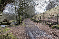 
Blaen-y-Cwm Railroad, passing Black Barn Colliery,<br>March 2015