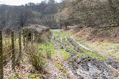 
Blaen-y-Cwm Railroad nearly at Ty Gwyn, March 2015