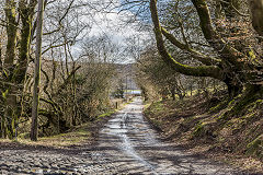 
Blaen-y-Cwm Railroad passing Ty Gwyn Colliery, March 2015