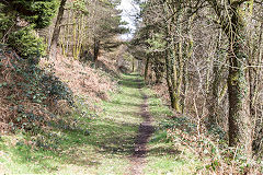 Blaen-y-Cwm Railroad through the woods at Coedcae Newydd, March 2015