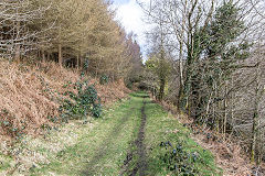 Blaen-y-Cwm Railroad through the woods at Coedcae Newydd, March 2015