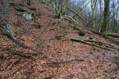 
Penrhiwfid, Daleys level, January 2010