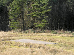 
Hafodyrynys Eastern Canyon, loading platform, February 2010