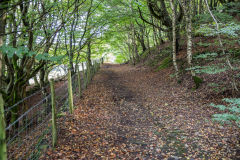 
Pen Tranch Colliery tramway, September 2013